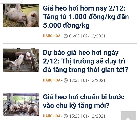 Screenshot_20211204-131648_Samsung Internet