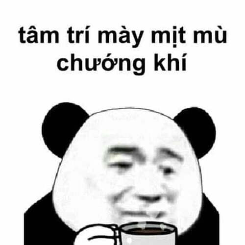 Ảnh-chế-gấu-trúc-cực-vui