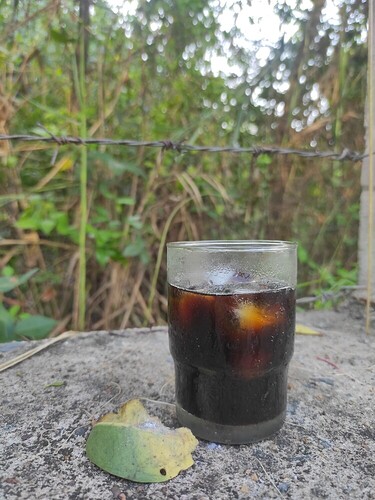 16493773638572439312141342122274