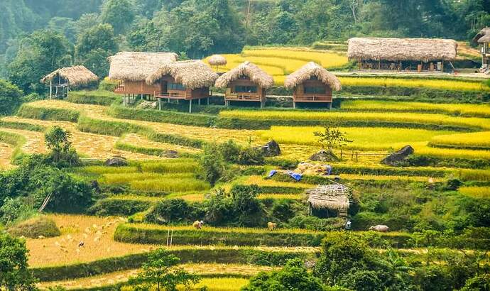 FB_IMG_1648733932737