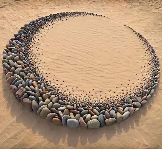 z3428359977611_4f036a519036219ecda8100161b212e6