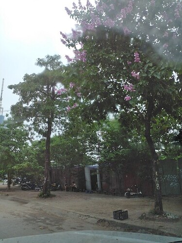 IMG_20220511_080731_943