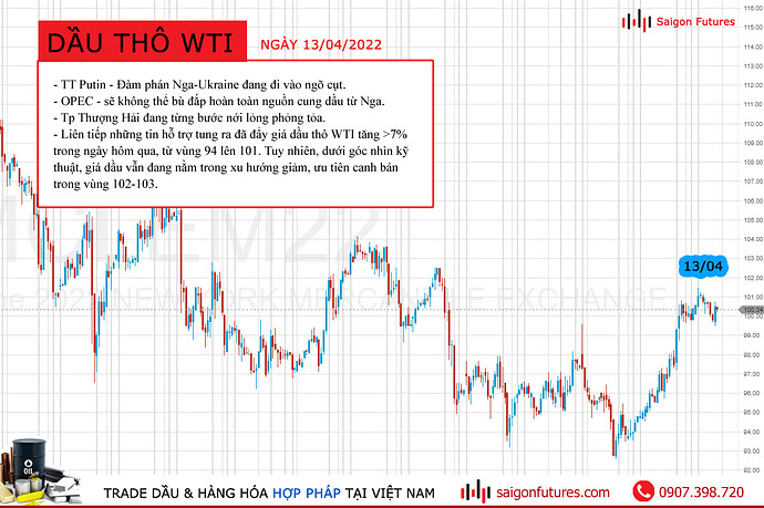 sfi-oil-price-13-04-ct