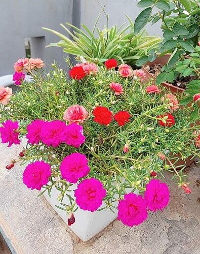 Screenshot_20220822-083519_Facebook