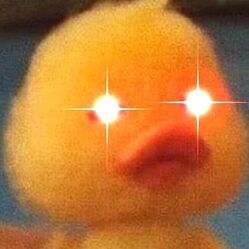 3ea2a8524c71a36f05bf8fbe7efde0d2