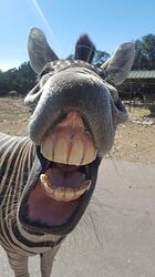 0f8cdd3cf95a541ba4e0a42aa2c72a15