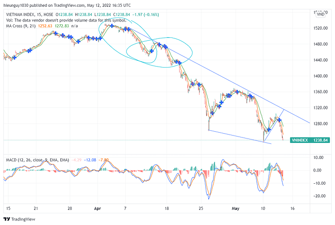 VNINDEX_2022-05-12_23-35-14