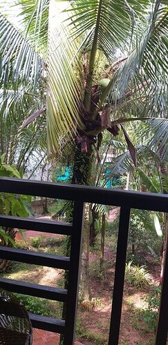 16493832364011053566430567715932