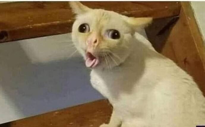 Screenshot_2022-06-25-22-03-14-551_com.android.chrome