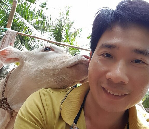 z3341037100090_17ebffe4cd247ad8c248049325d4dccc