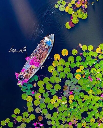 FB_IMG_1640185682586