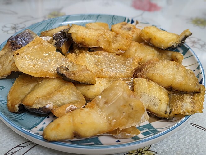 PXL_20221221_124621918.PORTRAIT