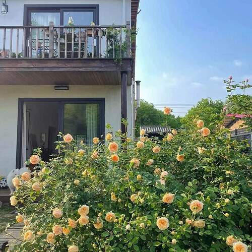 FB_IMG_1655359203240