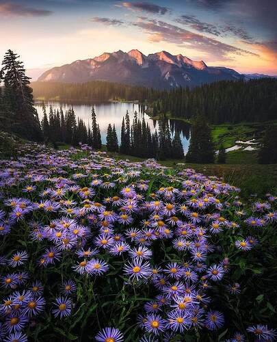 FB_IMG_1635645148521