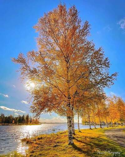 FB_IMG_1638314636181