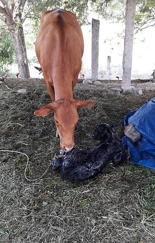 Screenshot_20220407_031139