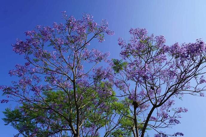 FB_IMG_1651474032082