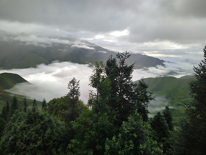 IMG_20200816_063756_3