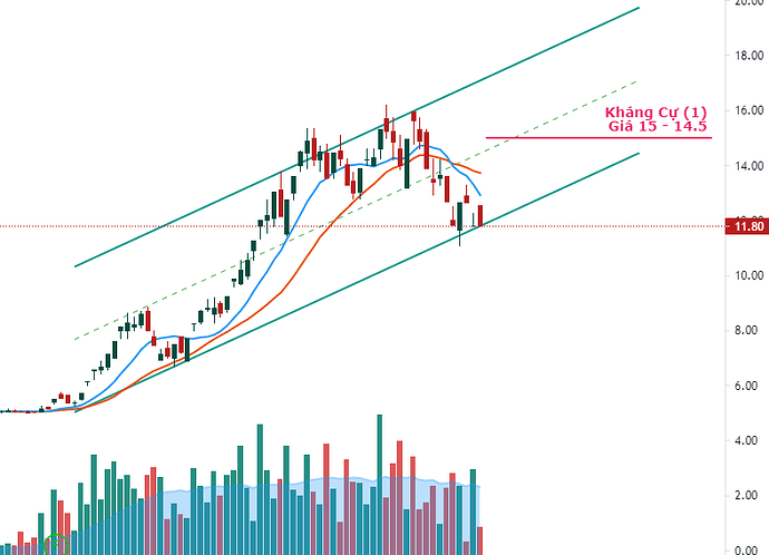 272901633_342196197774399_1713758119865181864_n