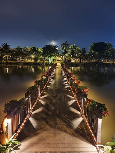 287067775_557695599062864_3461460314025167720_n