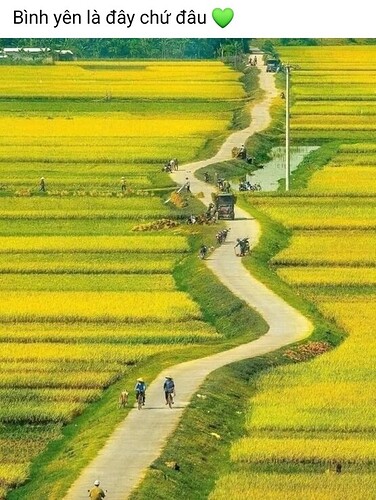 IMG_1650019896866_1650279626828