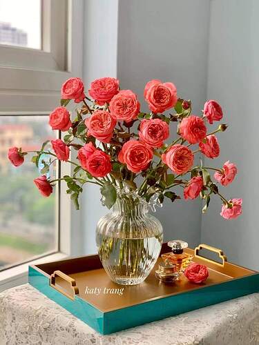 FB_IMG_1652690791853