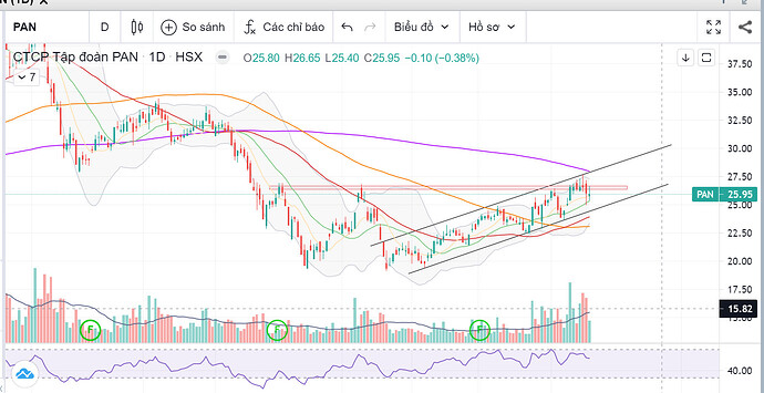 z3739249254958_1dd22d2b34d1f7b66626859aacf6ba46