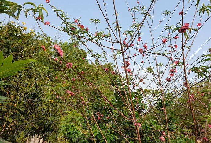 Screenshot_20220501-111147_Gallery