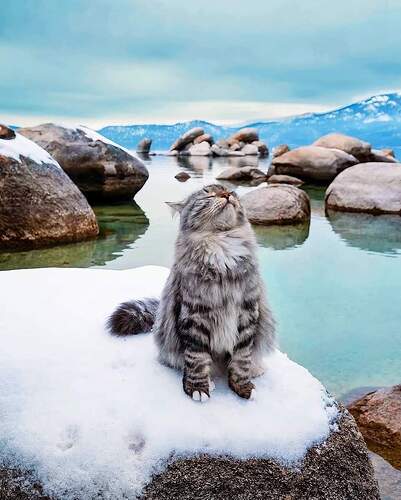 FB_IMG_1640260535635