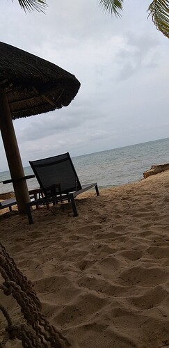 16496482154659221704762380806648