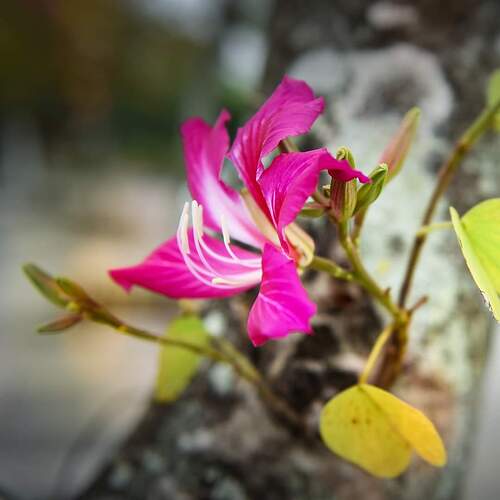 FB_IMG_1652853095572