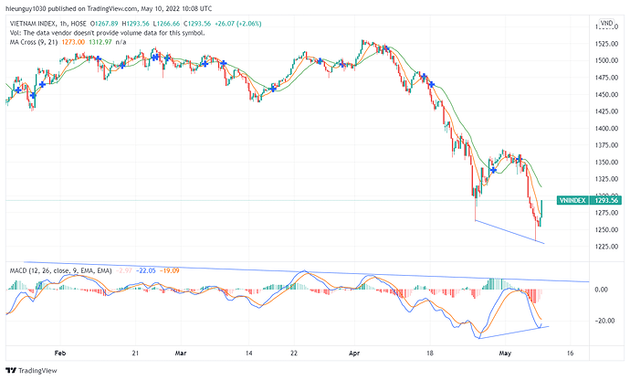 VNINDEX_2022-05-10_17-08-09