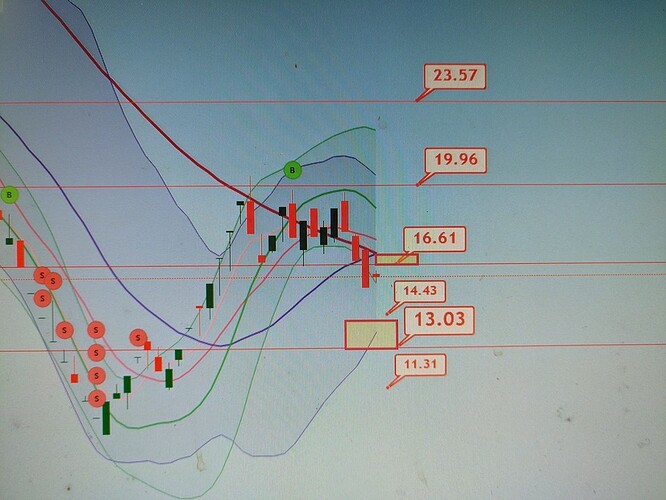 PXL_20221222_100607450