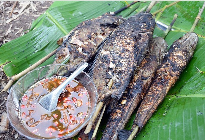 Screenshot_20220219_113803