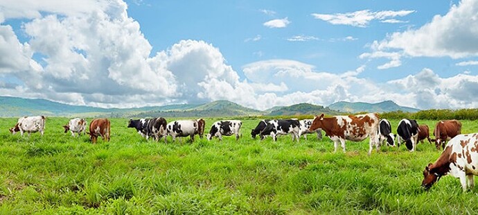 8fd888e11964d13a8875