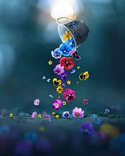 FB_IMG_1644112738000