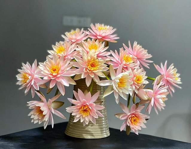 FB_IMG_1651133596902