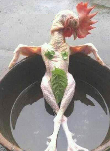 1395114828-24hcomvn-tranh-vui-4