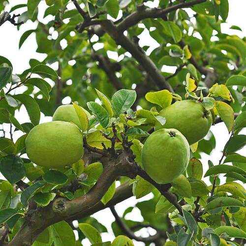 FB_IMG_1651289262290