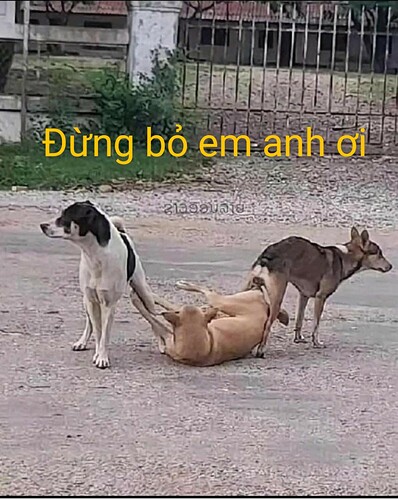 FB_IMG_1656129620819~2