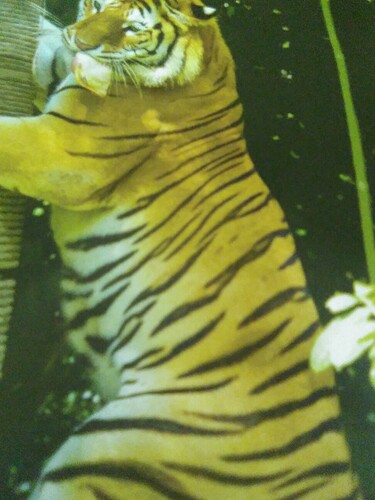 IMG_20220121_074423_532