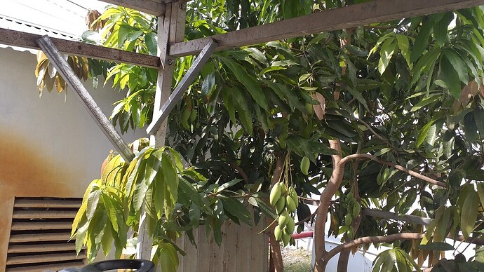 16454087791372548846721719467521