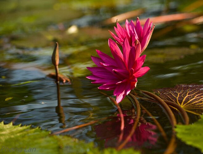 IMG_1649549114426_1649549206467