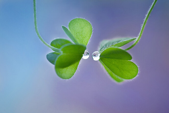 3496945944_87476c4406_b