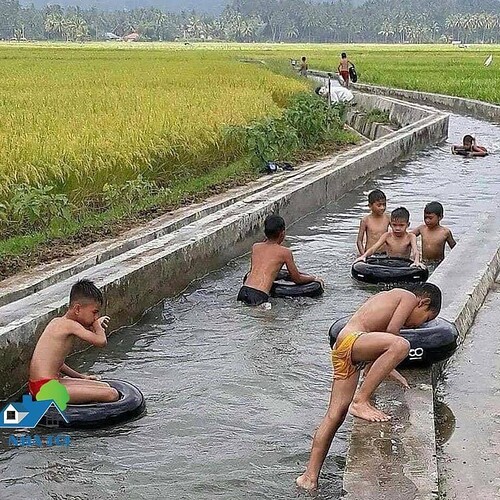 275968605_1375913359553591_3294482262082047164_n