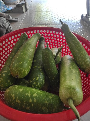 16489563897314497023448233381414