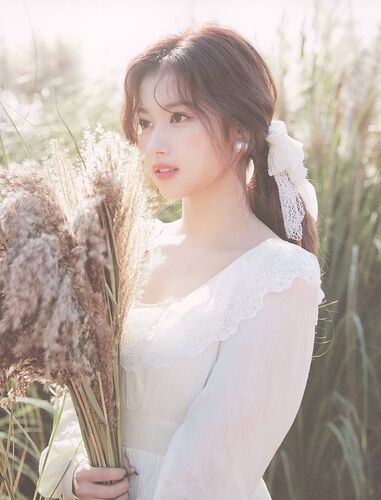 fc277497d373426d71850089778efa4b