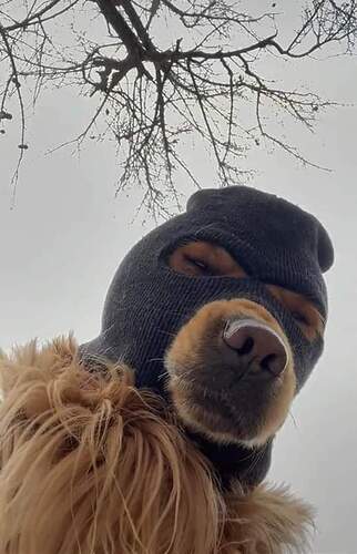 bc587d6736e4f9baa0f5