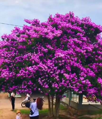 Screenshot_20220401_231433