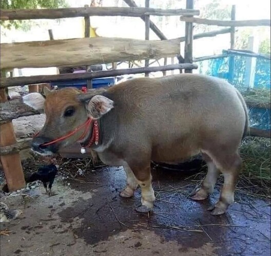 Screenshot_2022-07-16-19-37-04-14_a23b203fd3aafc6dcb84e438dda678b6